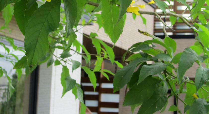 Green Willow House Fengshan  Exterior foto